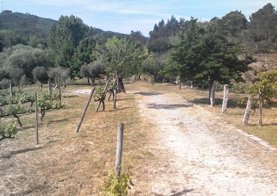 WIN_20150511_102951