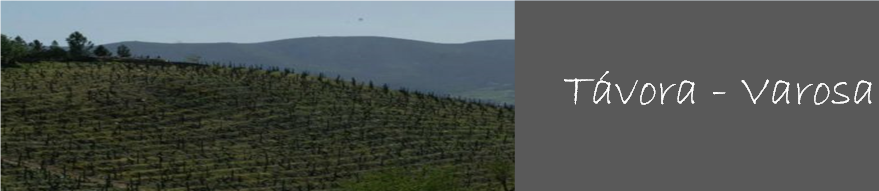 Tavora-varosa-banner-2